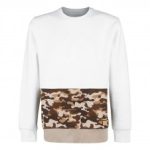 Latest Unisex Plain Mens Sweatshirts
